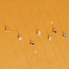 Birthstone Necklace