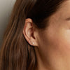 Pearl Studs