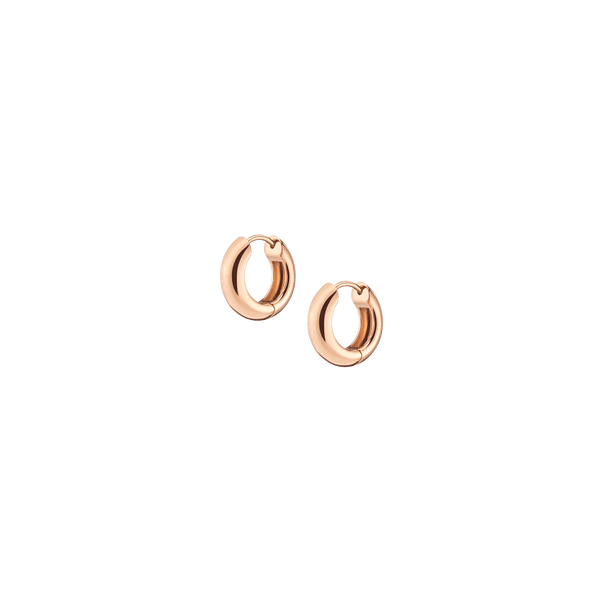 Small Chunky Hinged Hoop Earrings