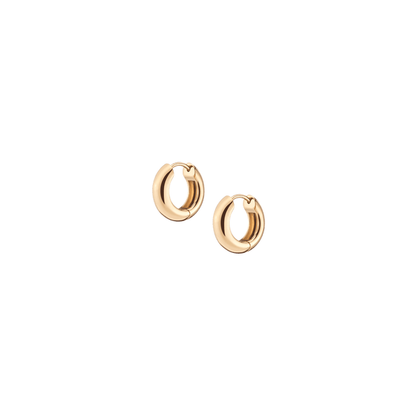 Small Chunky Hinged Hoop Earrings