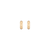Small Chunky Hinged Hoop Earrings