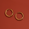 Medium Chunky Hinged Hoop Earrings