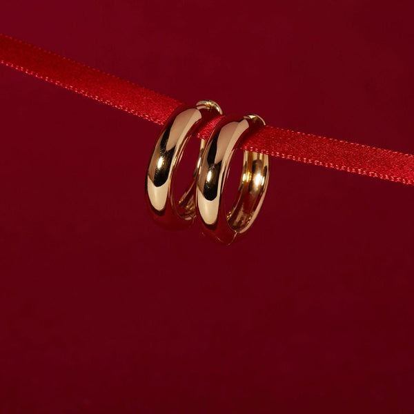 Medium Chunky Hinged Hoop Earrings