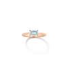Birthstone Baguette Ring - Garnet